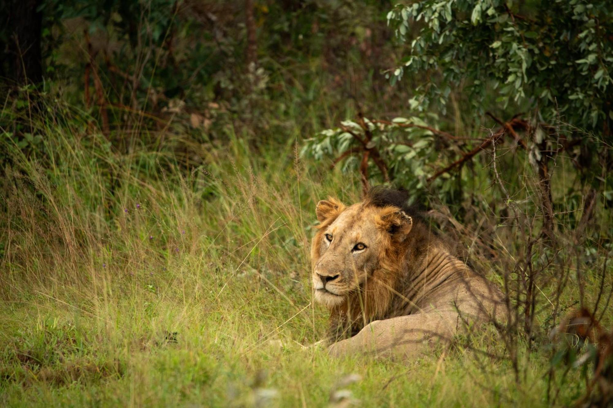 Aha Skukuza Safari Lodge ภายนอก รูปภาพ