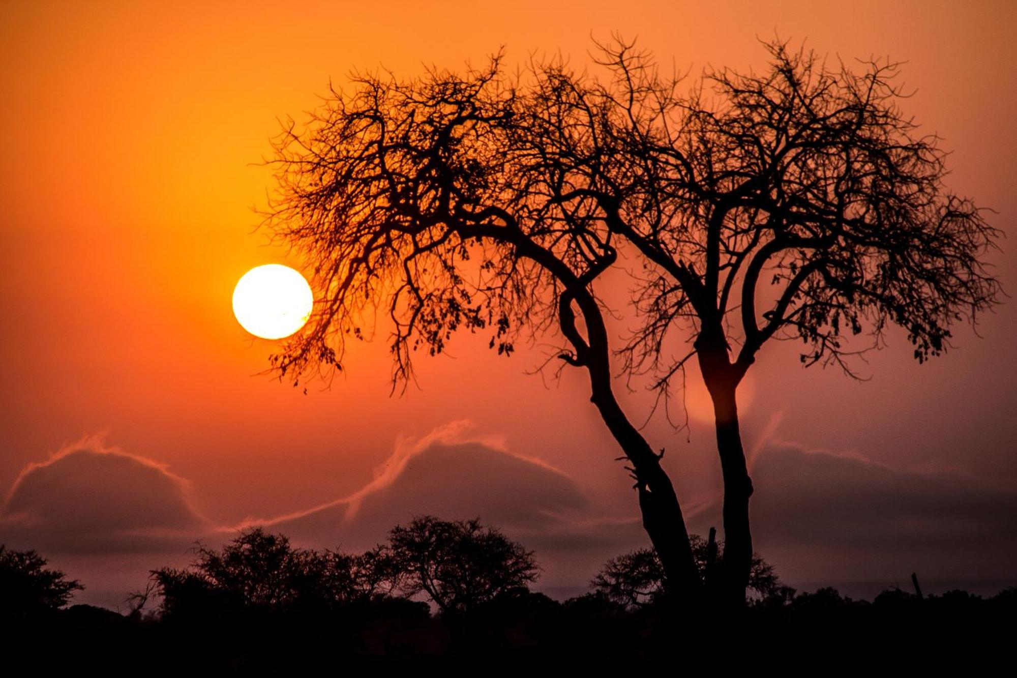 Aha Skukuza Safari Lodge ภายนอก รูปภาพ