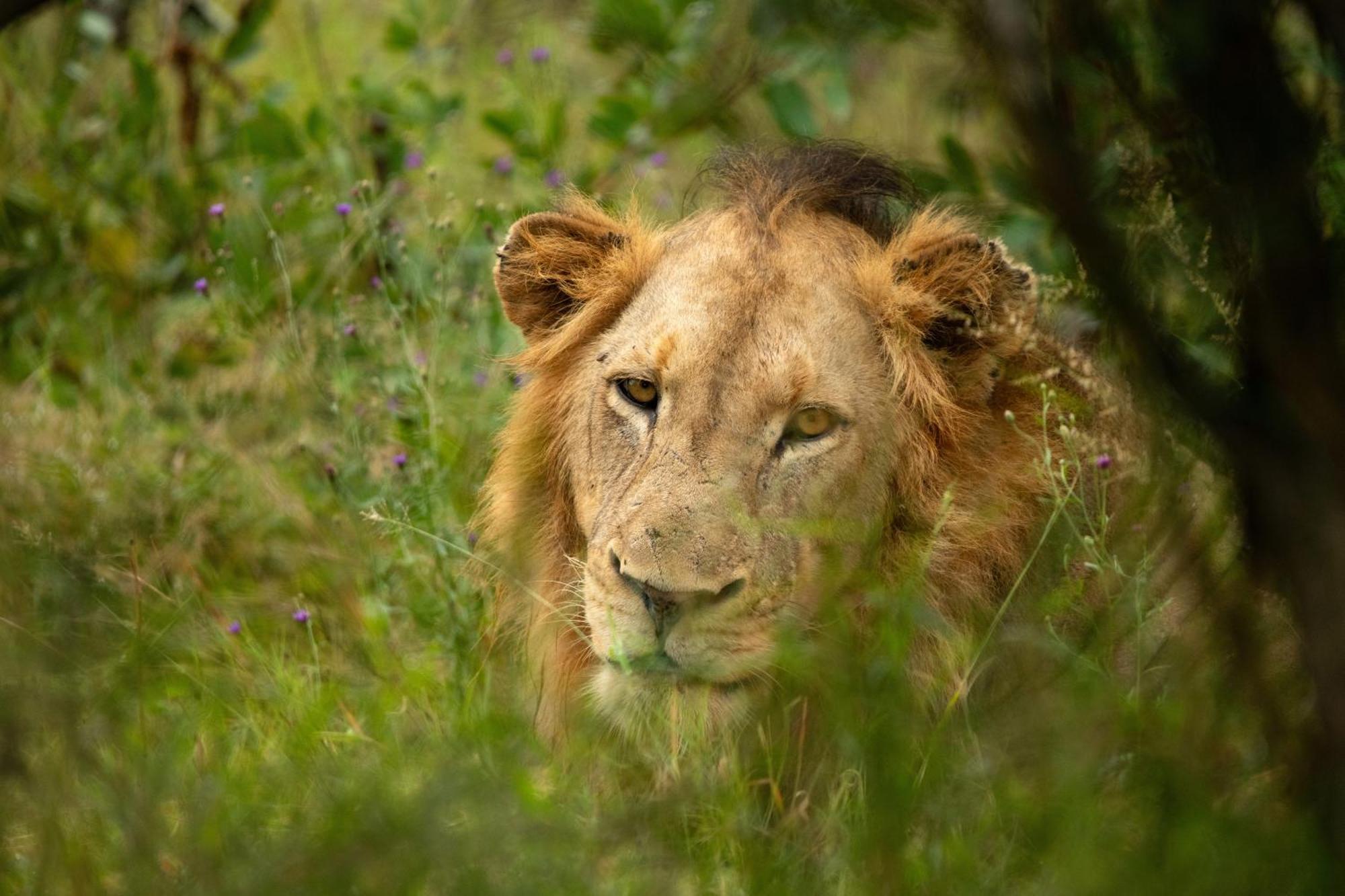 Aha Skukuza Safari Lodge ภายนอก รูปภาพ